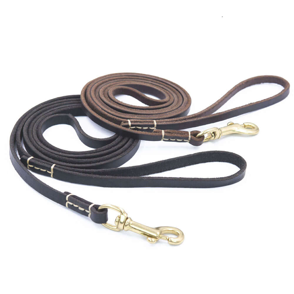 Genuine Leather Dog Leash - Dog