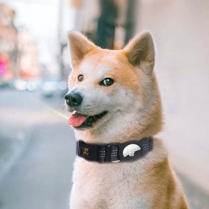 Dog AirTag Tracker Collar - Dog