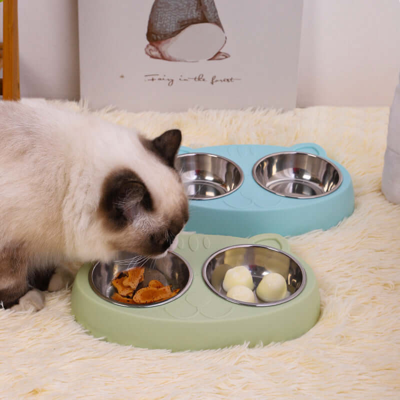 Dog Water and Food Bowl - Dog