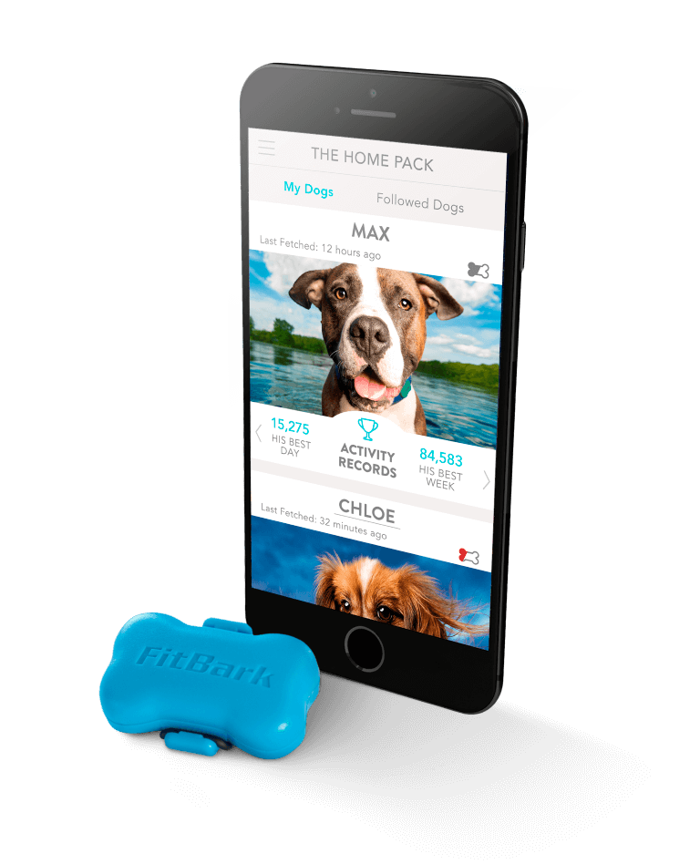 FitBark Dog Activity Monitor